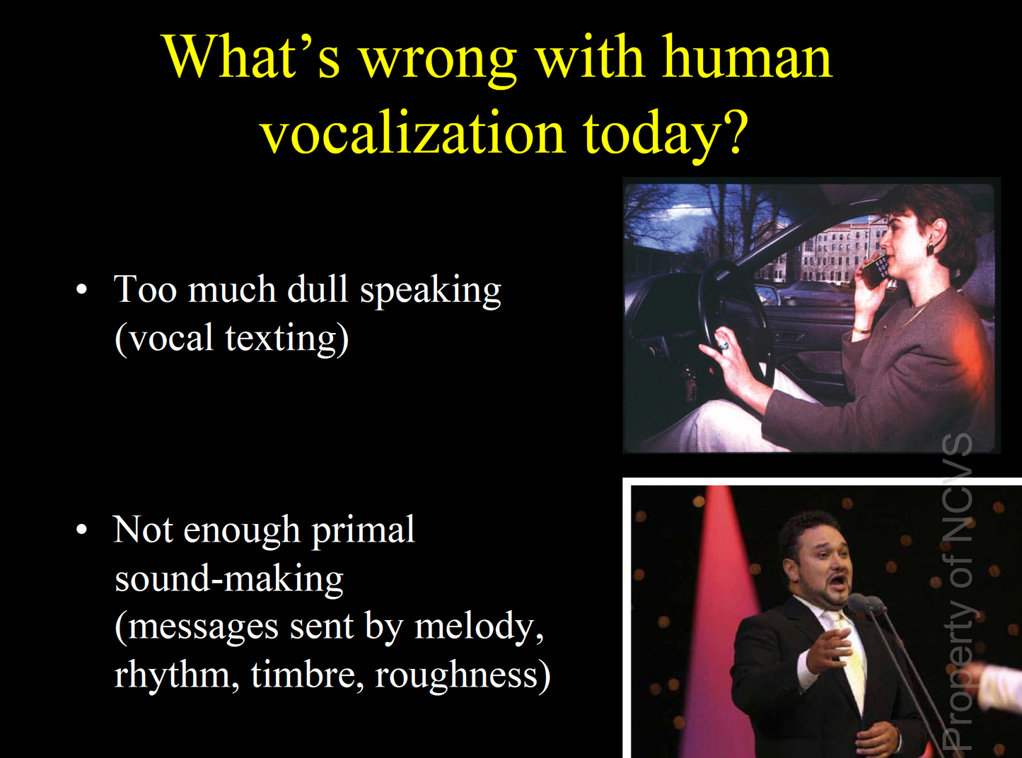 What's Wrong with Human Vocalization?